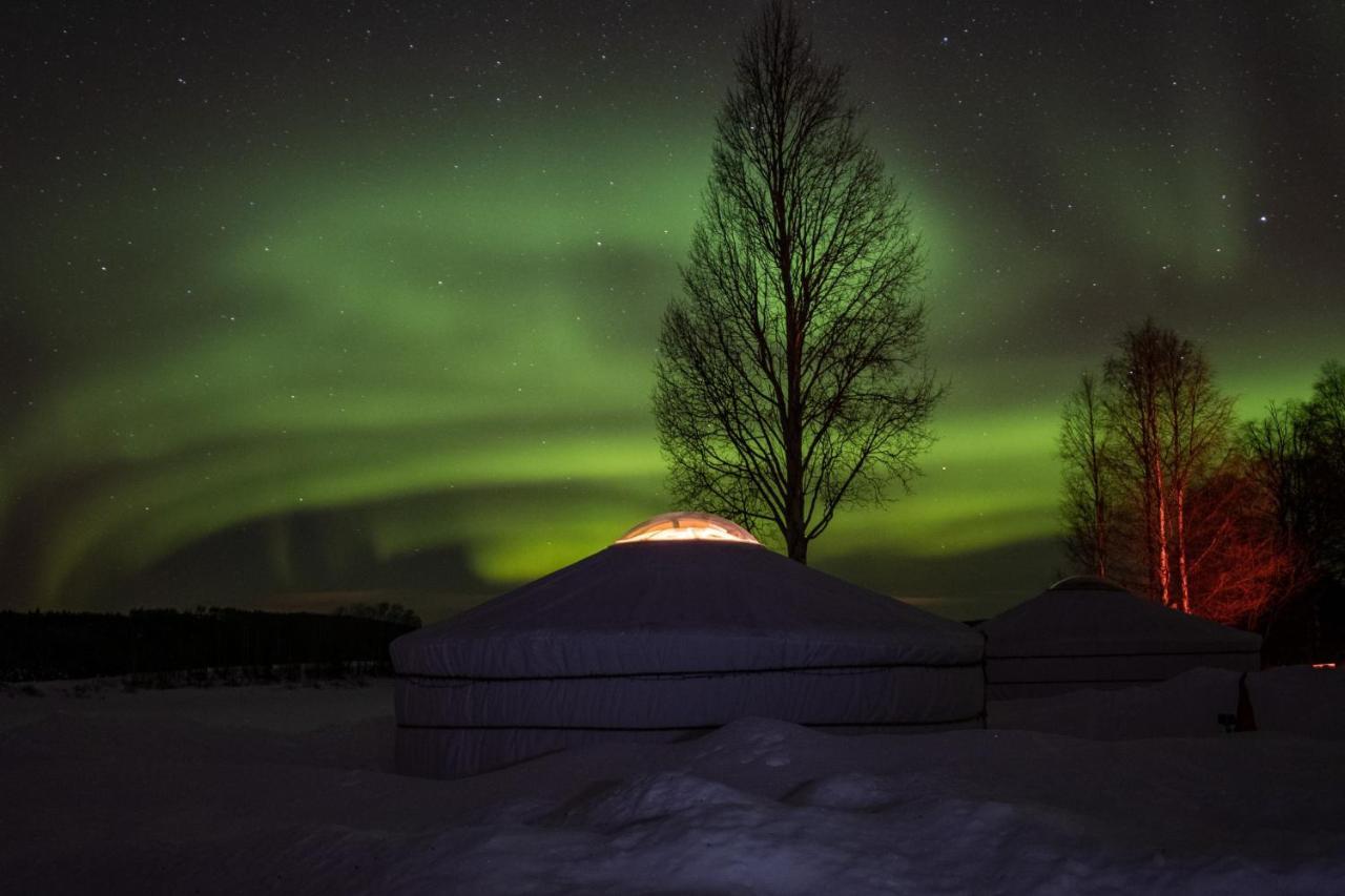 Yurt District Hotell Rovaniemi Exteriör bild